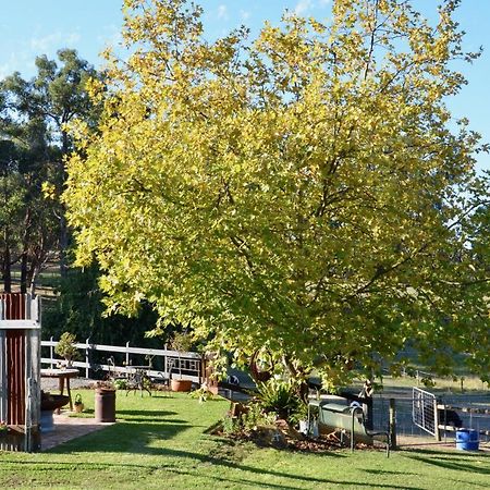 Hotel The Stables Wandin North Exterior foto